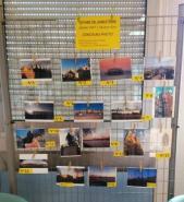 expos voyage angleterre